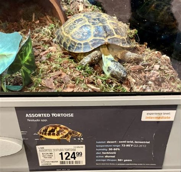 Does PetSmart sell Mississippi map turtles?