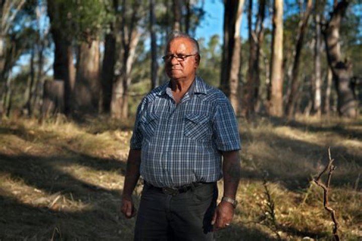 Does Super Fresh still exist?