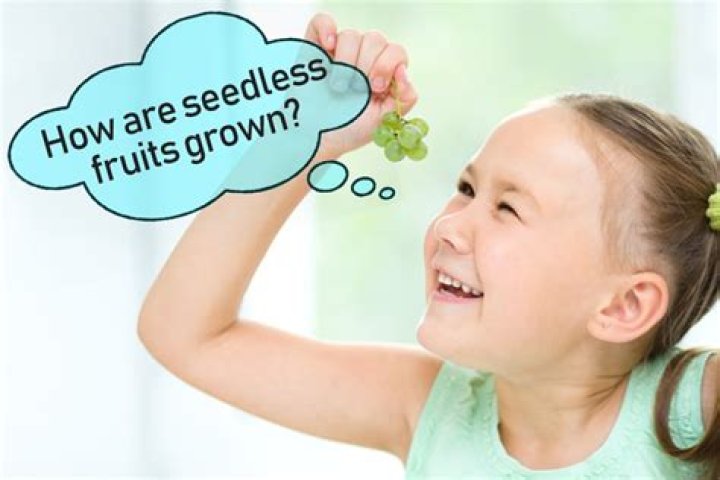 How are seedless fruits grown