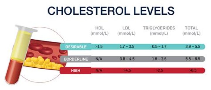 How bad is 262 cholesterol?
