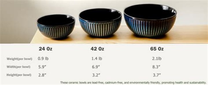 How big is a 26 oz bowl