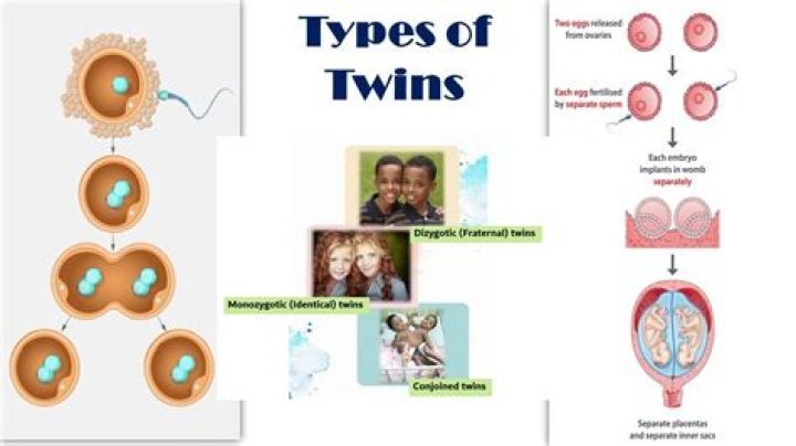 How can I have twins or triplets