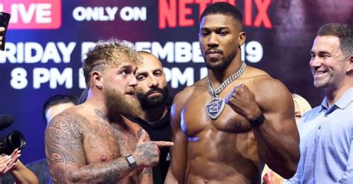 How did Jake Paul get rich?