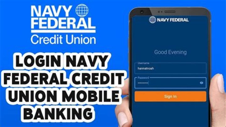 How do I access MyBiz Navy?