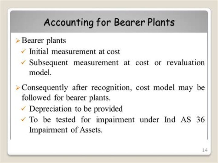 How do I account for a bearer plant?