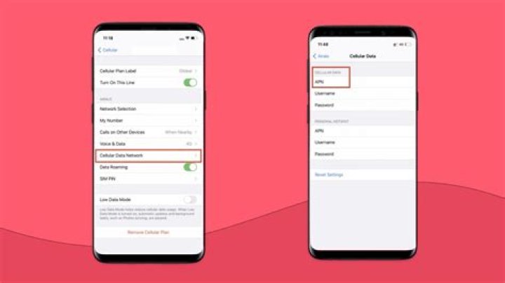 How do I change the APN settings on my Galaxy S2?