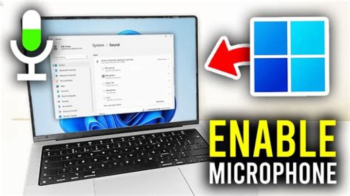 How do I enable my microphone on Windows Vista?