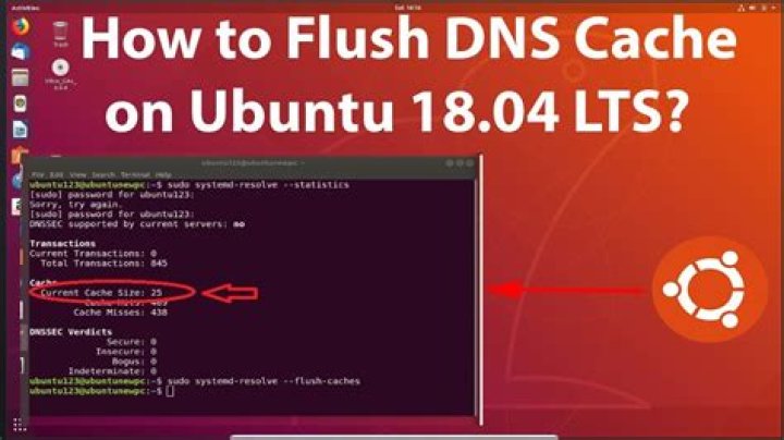 How do I flush DNS on Ubuntu?