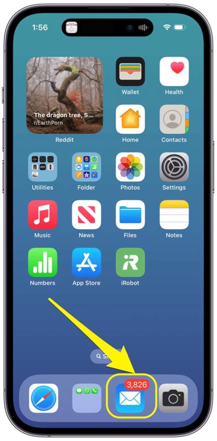 How do I get daily news on my iPhone?