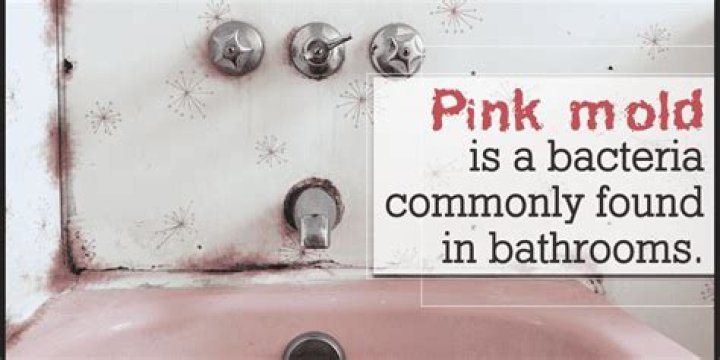 How do I get rid of pink bacteria in my shower
