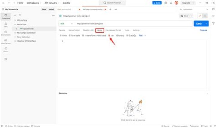 How do I give JSON data to postman?