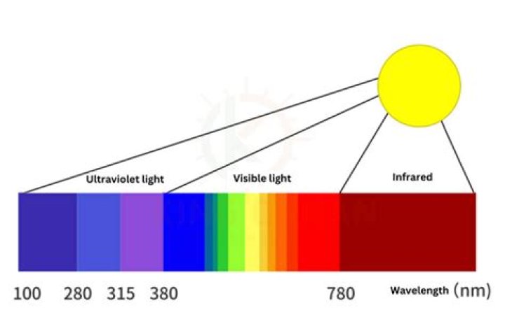 How do I know if a light bulb is full spectrum