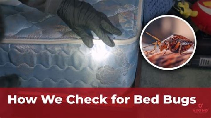 How do I prepare for a bed bug inspection