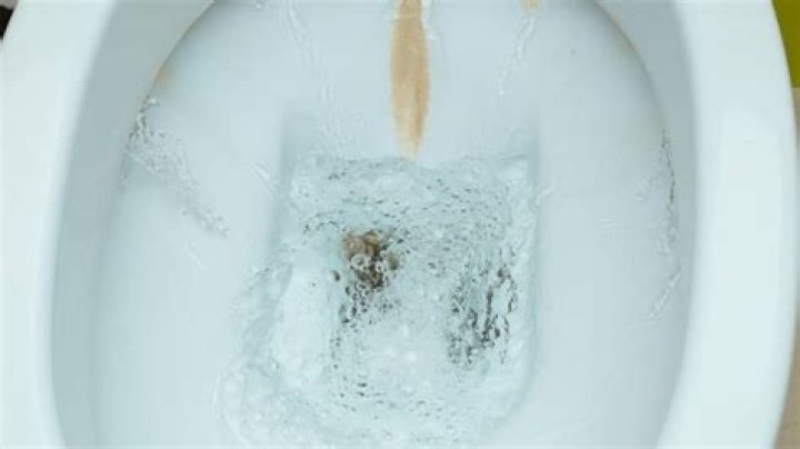How do I remove hard water stains from toilet bowl