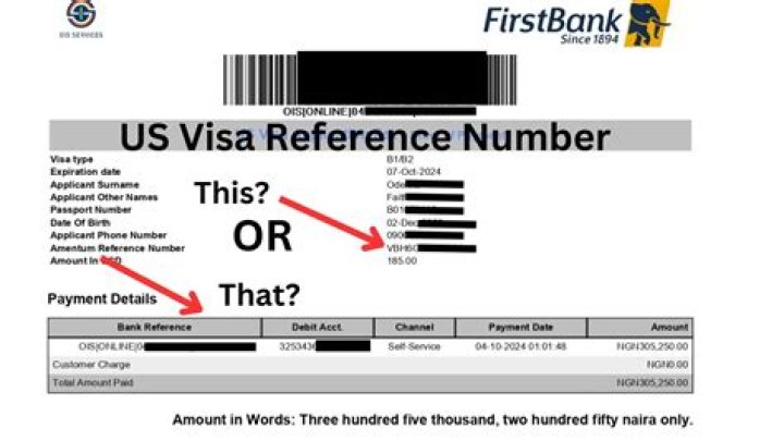 How do I schedule an appointment to renew my US visa?