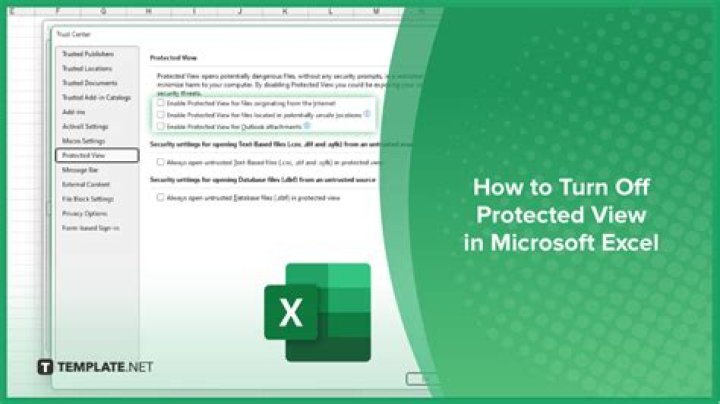 How do I turn off Protected View in Excel 2003?