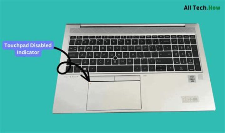 How do I unfreeze my touchpad on my HP probook?