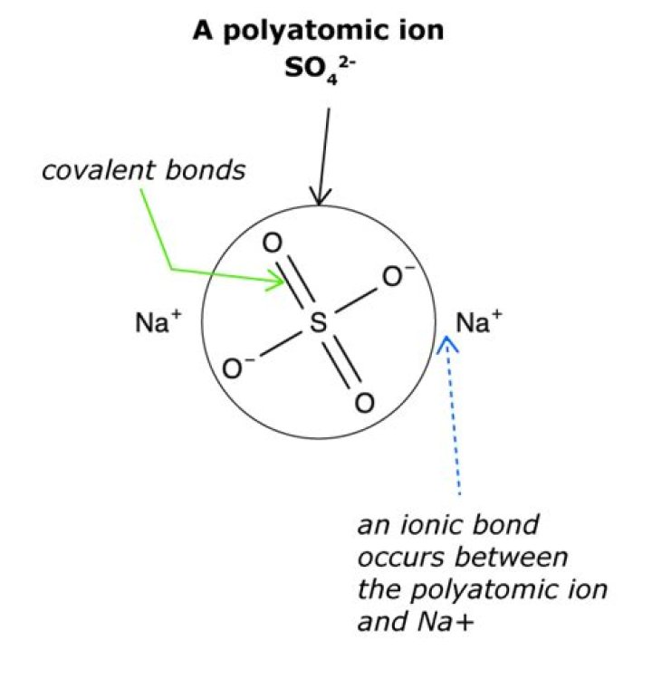 How do polyatomic ions work