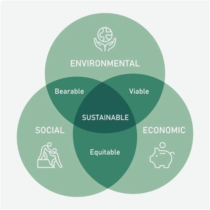 How do the Hannover Principles relate to sustainability?