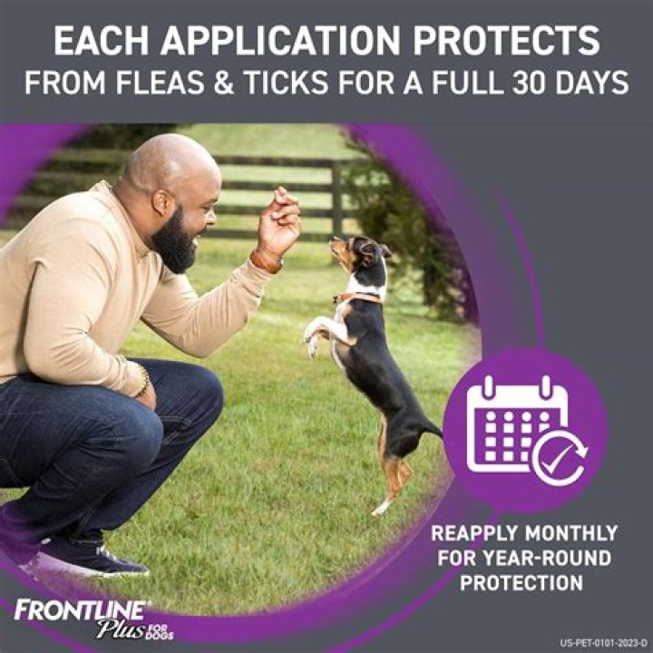 How do you apply Frontline Plus for dogs?