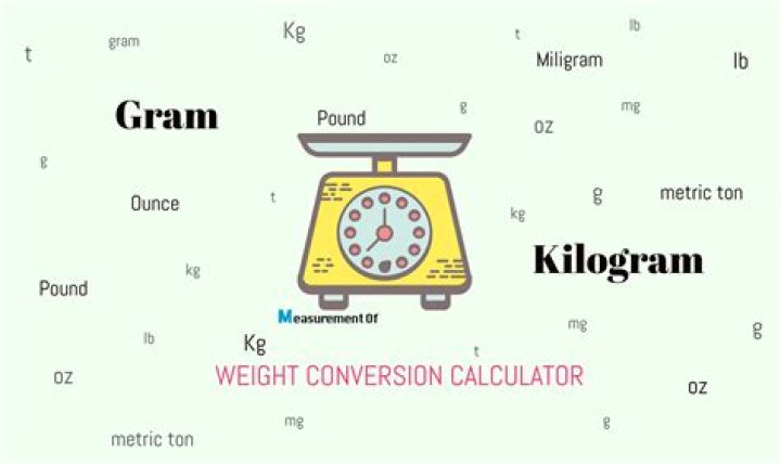How do you convert grams to Newton weight?
