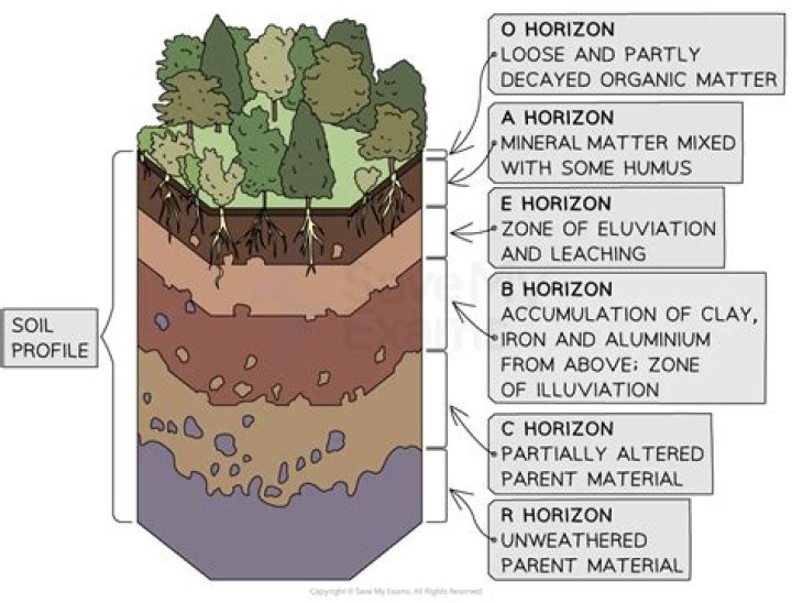 How do you describe a soil profile