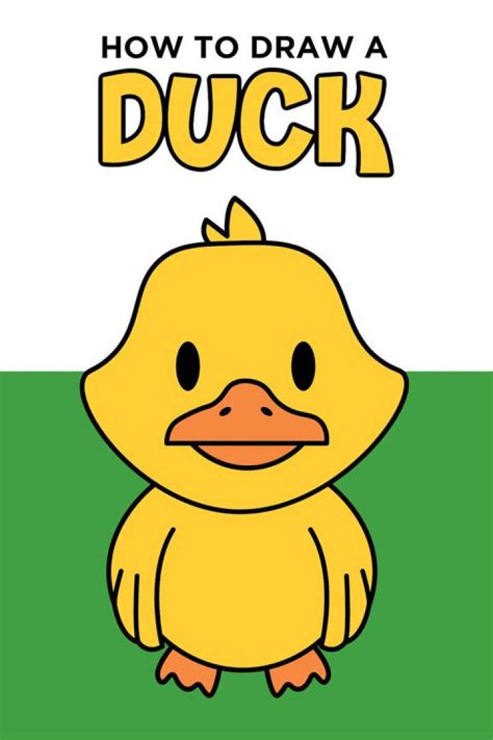 How do you draw a duck head?