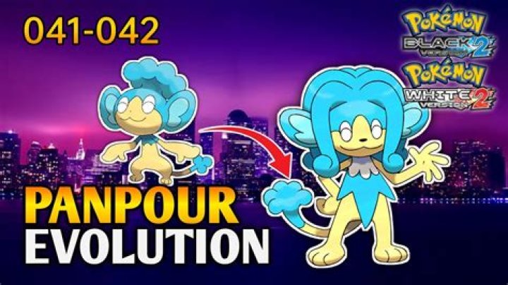 How do you evolve Panpour?