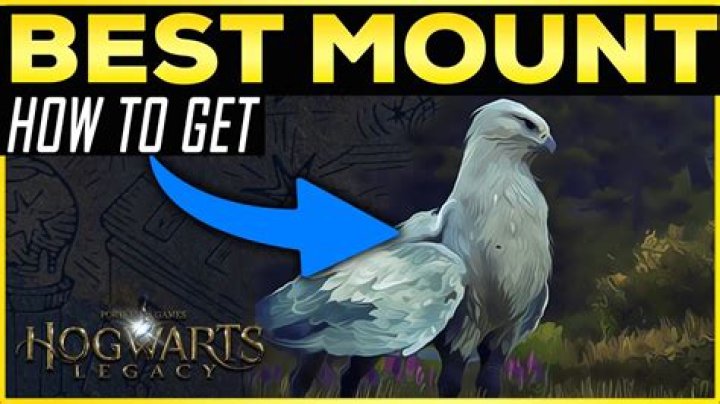 How do you get a mount in trove?