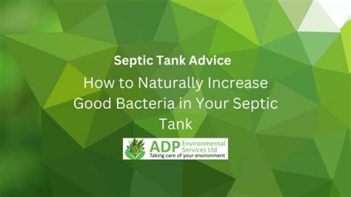 How do you get bacteria in your septic tank