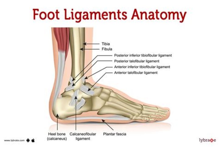 How do you get rid of a knot in your foot arch?