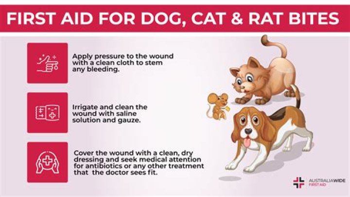 How do you know if an animal rescue is legit?
