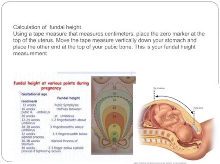 How do you measure Fundal height at home