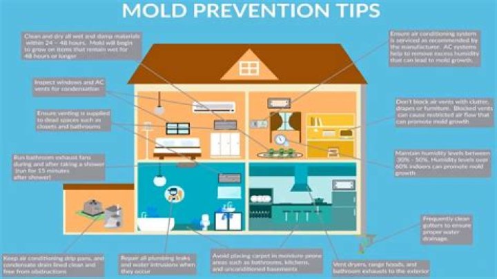 How do you prevent mold in buildings