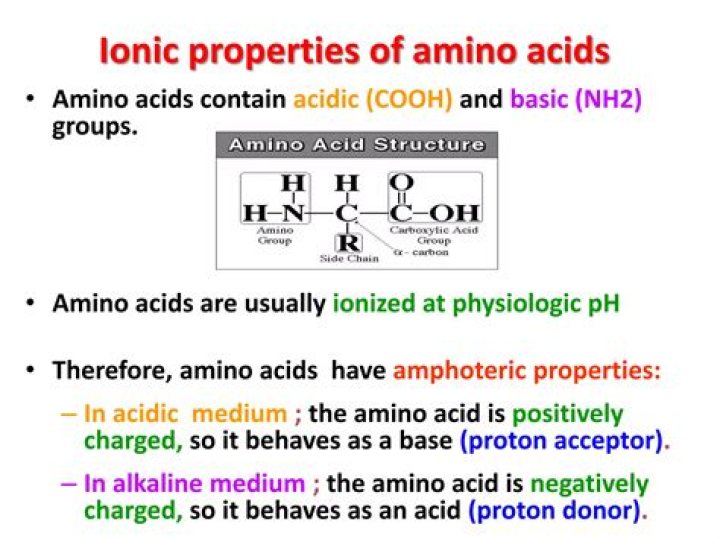 How do you remember the properties of amino acids?