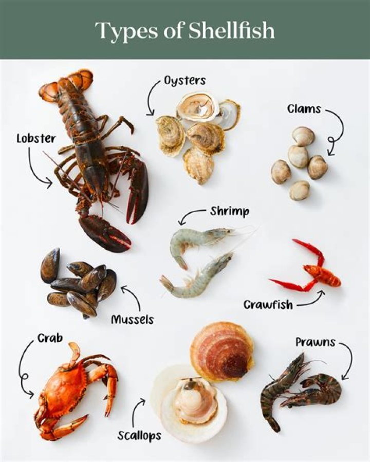 How do you ship live shellfish?