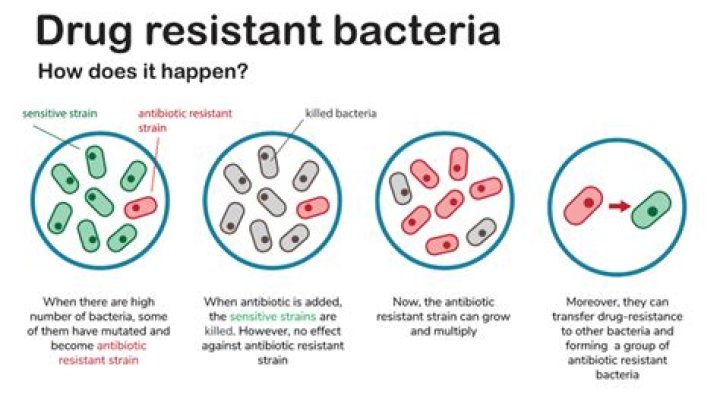 How do you treat colistin resistant bacteria?