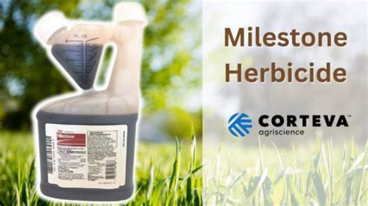 How do you use Milestone herbicide
