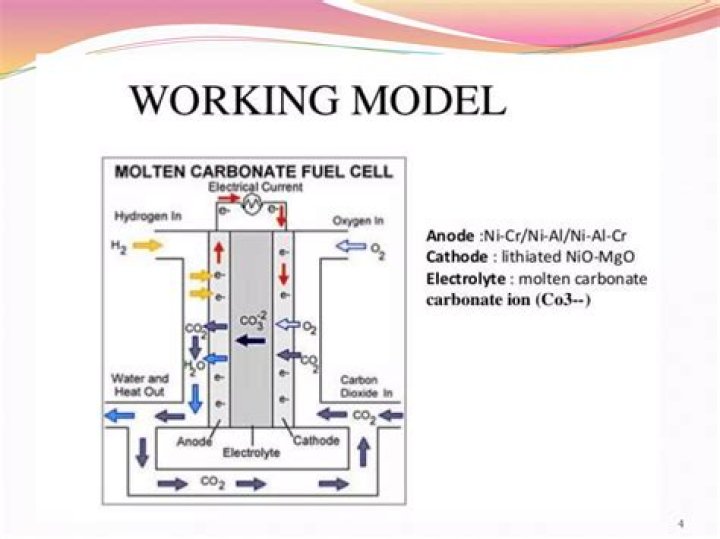 How does a molten carbonate fuel cell work?