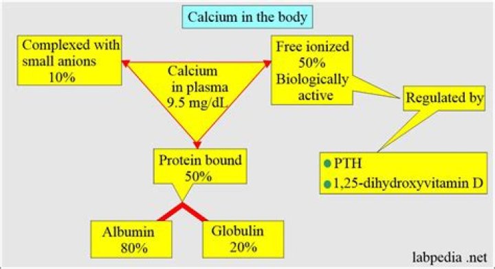 How does calcium affect coagulation