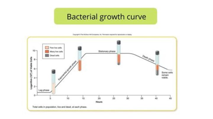 How does low temperature affect bacterial growth?
