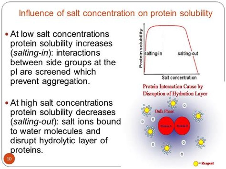 How does salt concentration affect the rate of an enzyme reaction?