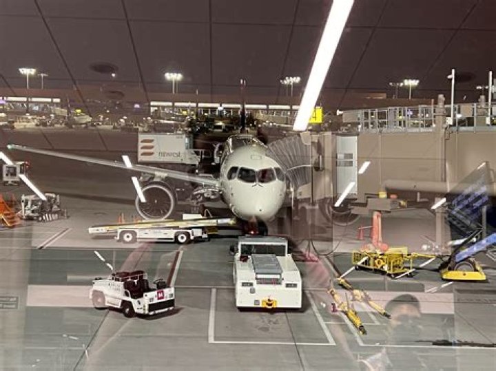 How far can you transport pigs?