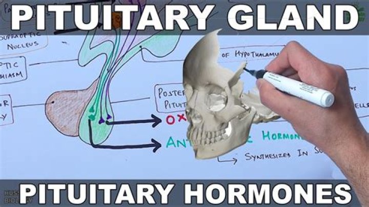 How is surgery performed on the pituitary gland?