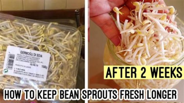 How long can you keep bean sprouts in the fridge?