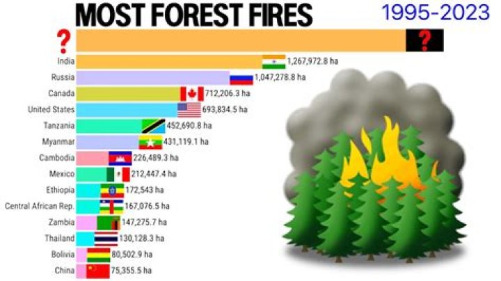 How long did the Black Forest fire last?