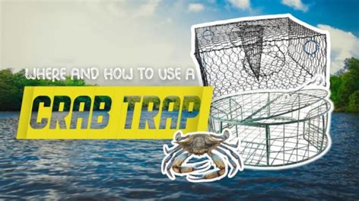 How long do you leave a crab trap in the water?