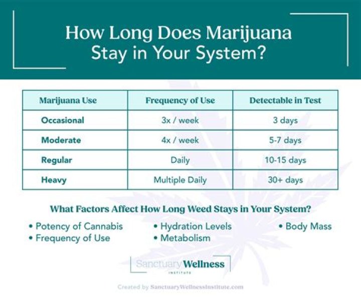 How long does a marijuana brownie stay in your system?