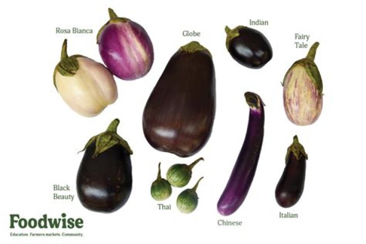 How long does aubergine take to cook?