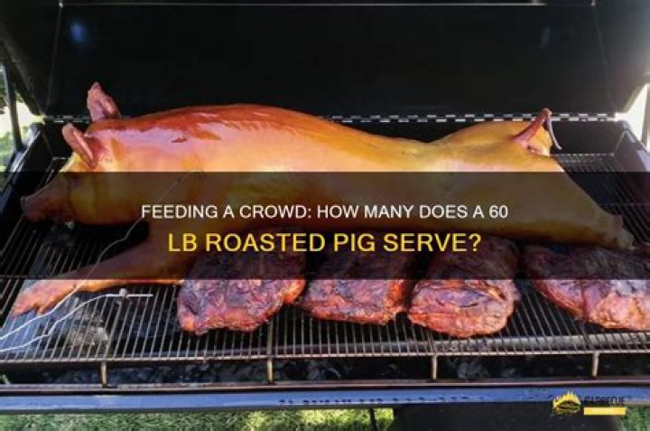 How long does it take to cook a 60 lb pig?